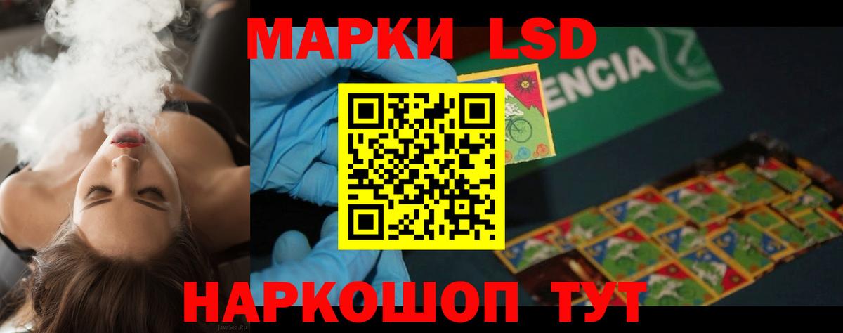 Кингисепп  Лсд 25 экстази кислота  Лсд 25 экстази  Лсд 25 экстази ecstasy  Вход с VPN 