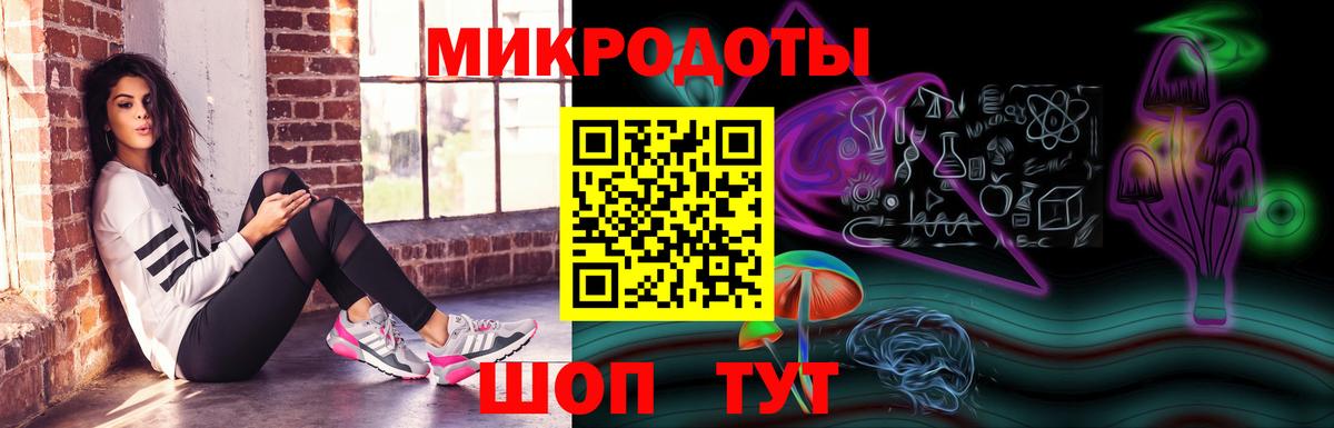 Галлюциногенные грибы Psilocybe Кингисепп
