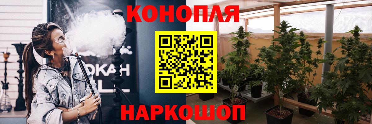 Бошки марихуана план Кингисепп